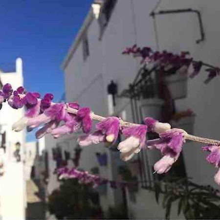 Villa Casa Arena Y Sal En Pleno Casco Antiguo De Vejer à Vejer de la Frontera Extérieur photo